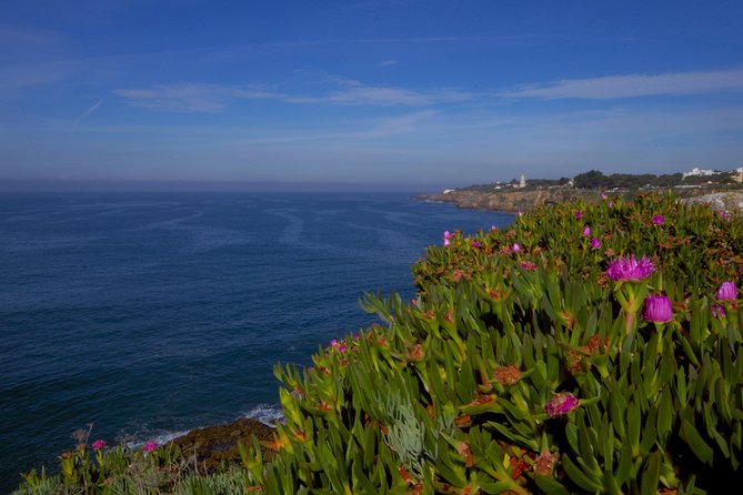 Private Tour From Lisbon: Sintra Mystic Trail in Five Hours - Free Time in Cascais and the Stunning Coastline