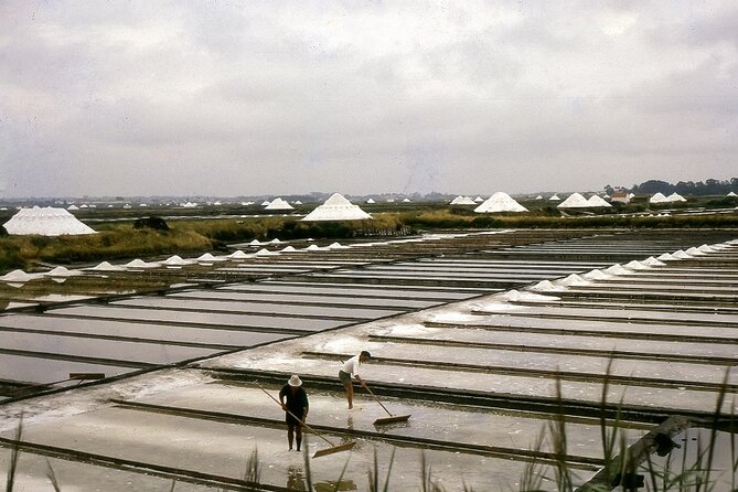 Private Tour: from Lisbon to Porto; visit to Óbidos, Fátima, Coimbra, Aveiro - Start Your Day at the Medieval Óbidos Village