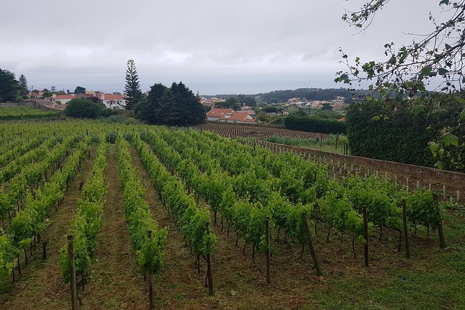 Private Tour from Lisbon to Sintra, Cabo da Roca, Cascais and Estoril - Discovering Sintra’s Historic Royal Palace