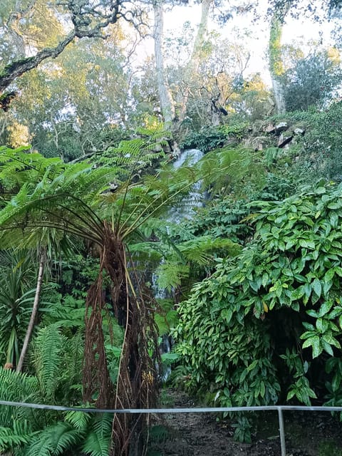 Private tour from Lisbon to Sintra, Pena palace, Regaleira - Practical Tips for the Day