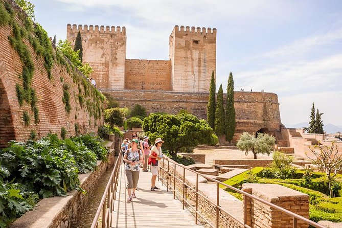 Private tour from Malaga to the Alhambra Palace and Granada for up to 8 persons - Free Time to Discover Granada at Your Own Pace