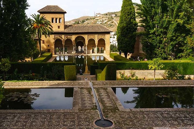 Private tour from Malaga to the Alhambra Palace and Granada for up to 8 persons - Logistics and Comfort: Pickup, Transport, and Group Size