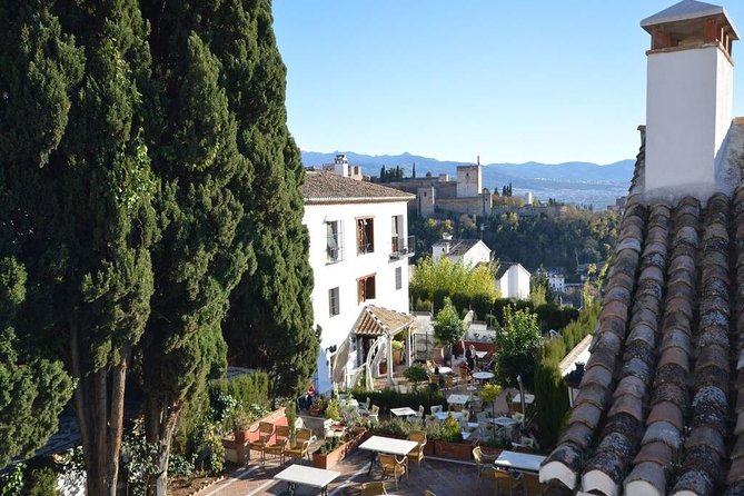 Private tour from Malaga to the Alhambra Palace and Granada for up to 8 persons - The Value of Expert Guides and Personal Attention