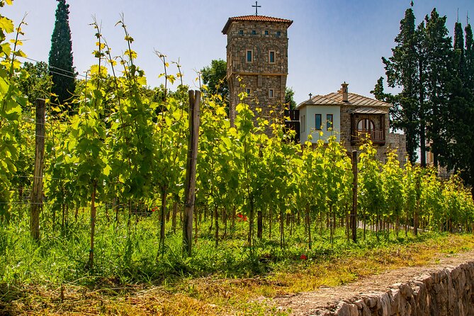 Private Tour From Montenegro: Trebinje & Tvrdos Monastery w/ Wine & Food Tasting - Wine Tasting at Tvrdos Monastery: An Authentic Flavor Experience