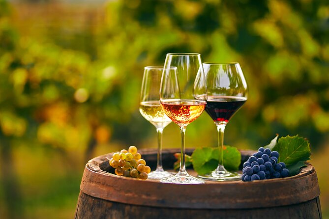 Private Tour From Montenegro: Trebinje & Tvrdos Monastery w/ Wine & Food Tasting - Who Will Appreciate This Tour?