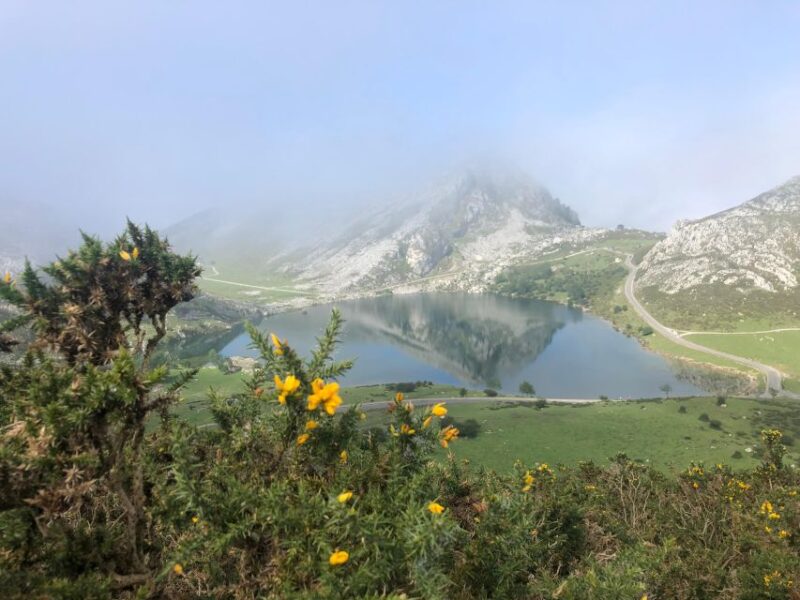 Private Tour from Oviedo to Covadonga and Europe Peaks lakes - Visiting the Roman Bridge in Cangas de Onís