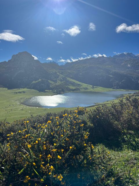 Private Tour from Oviedo to Covadonga and Europe Peaks lakes - Return and Drop-off in Oviedo or Gijón