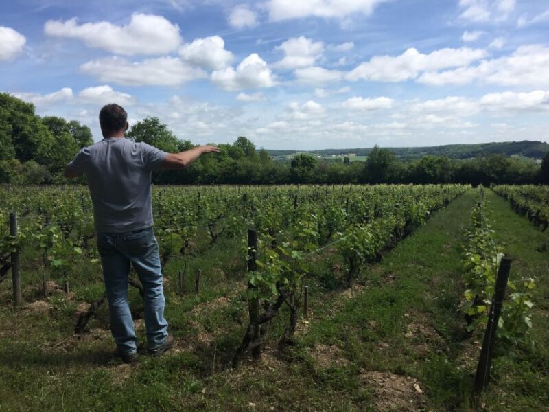 Private Tour from Paris to Loire Castles & Michelin Lunch - Wine Tasting at a Boutique Loire Winery