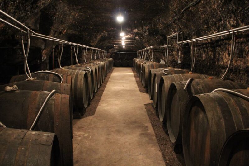 Private Tour from Paris to Loire Castles & Michelin Lunch - The Overall Experience: Balance of History, Food, and Wine