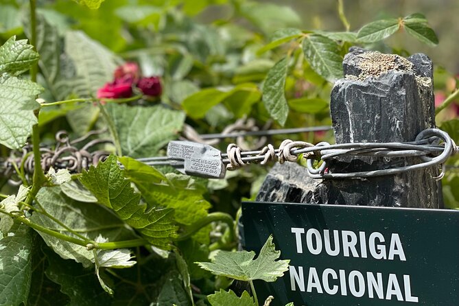 Private Tour From Porto To Douro Valley With River Boat Ride - Pinhao: Lunch and Local Portuguese Flavors