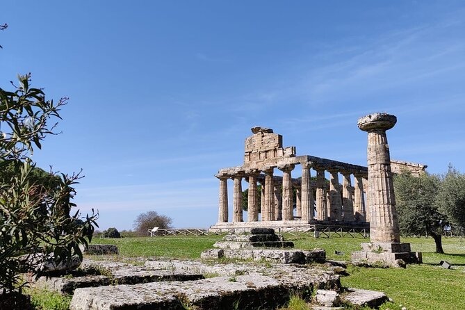 Private Tour from Sorrento/Positano to Paestum and Mozzarella tour - Key Points