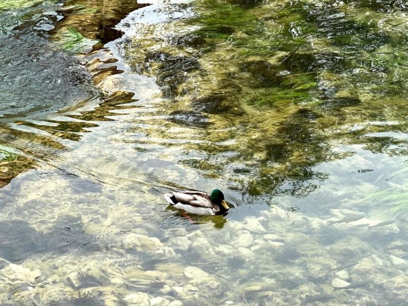 Private tour from Split to Krka and return - Who Will Benefit Most From This Tour