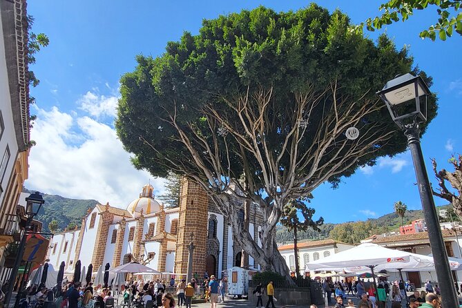 Private Tour from the Port of Las Palmas to Teror Firgas Arucas - The Architectural Marvel of Arucas and Its Historic District