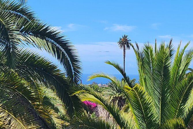 Private Tour from the Port of Las Palmas to Teror Firgas Arucas - The Unique Appeal of This Tour