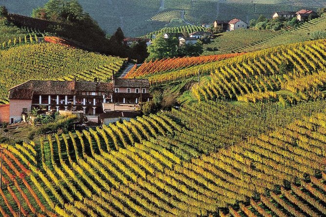 Private tour from Turin: Full day Langhe Region with its Colors and Flavors - Starting at 9:30am with Convenient Hotel Pickup in Turin