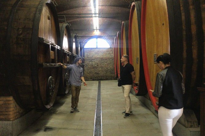 Private tour from Turin: Full day Langhe Region with its Colors and Flavors - Tasting Barolo with Food in a Traditional Trattoria