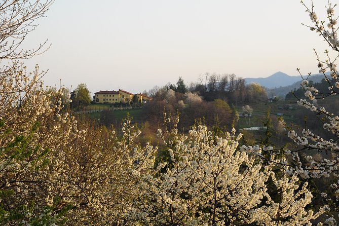 Private tour from Turin: Full day Langhe Region with its Colors and Flavors - Discovering La Morra’s Panoramas and Culinary Delights