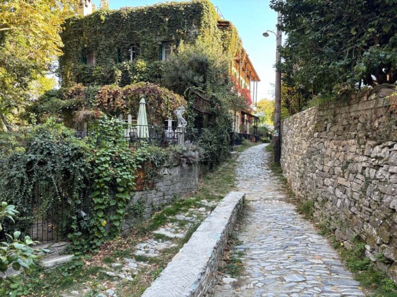 Private Tour from Volos: Tsagkarada & Mylopotamos Beach - Visiting the Iconic 1,000-Year-Old Plane Tree
