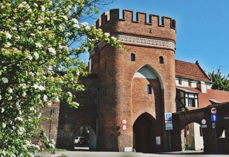 Private tour from Warsaw to Torun - Optional Museum Visits and Additional Discoveries