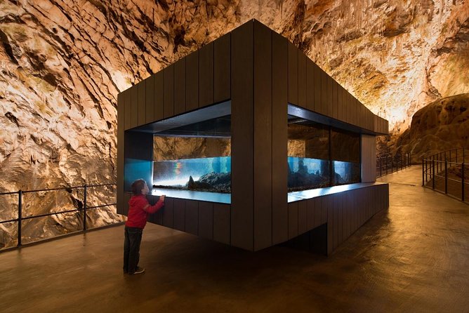 Private Tour from Zagreb: Ljubljana, Postojna & Predjama Castle - Predjama Castle: A Cliffside Fortress with a Rich Past