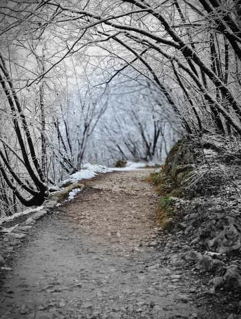 PRIVATE TOUR from Zagreb  Plitvice, Dubovac & Rastoke - Explore Croatia’s Natural and Historic Gems on a Private Day Trip from Zagreb