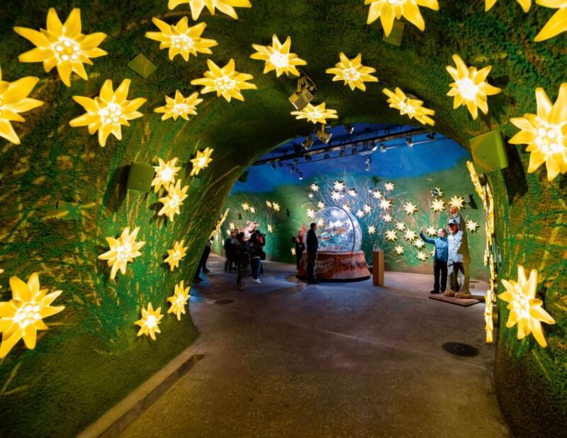 Private Tour from Zurich to Jungfraujoch - The Top of Europe - Practical Details: Logistics and Inclusions