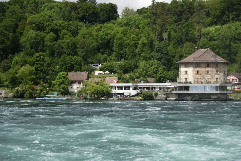 Private Tour from Zurich to Rhine Falls and Black Forest - Practical Details: Logistics and Comfort