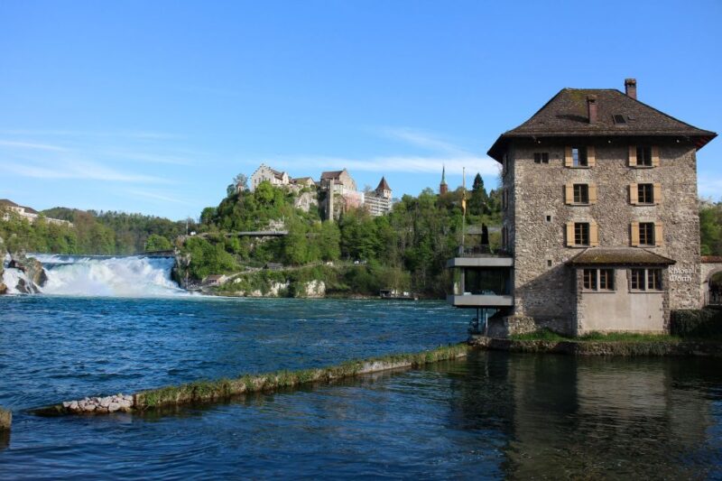 Private Tour from Zurich to Rhine Falls and Black Forest - Cost and Overall Value
