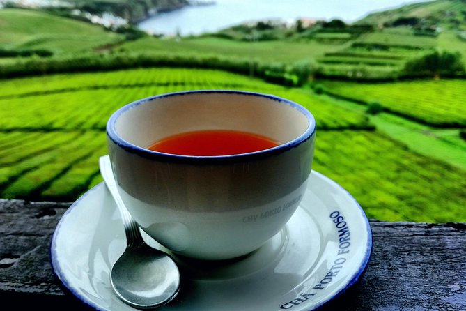 Private tour Full Day Furnas 1 to 4 people - Logistics and Practical Details