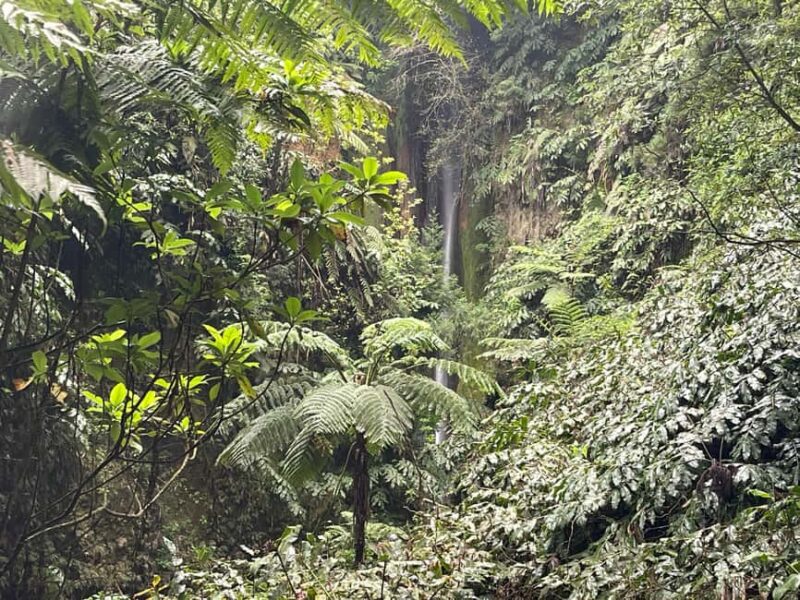 Private Tour Furnas: Furnas Lake Hike & Terra Nostra Park - Lunch in the Town of Furnas