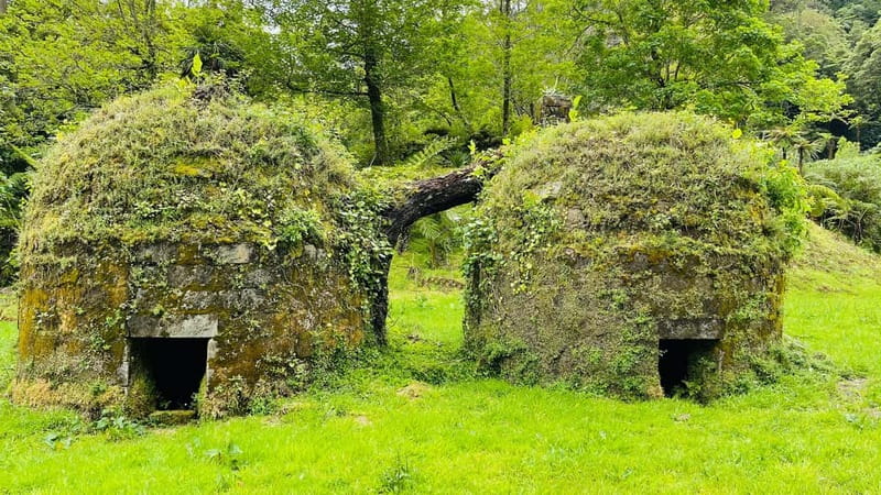 Private Tour Furnas: Furnas Lake Hike & Terra Nostra Park - Scenic Photo Stop at Pico do Ferro Lookout