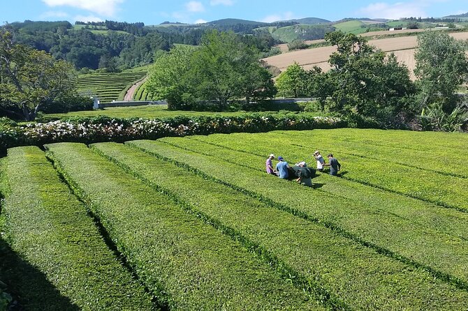 Private Tour Furnas Lake & Hot Springs - Sampling Azorean Cuisine and the "Cozido" Stew