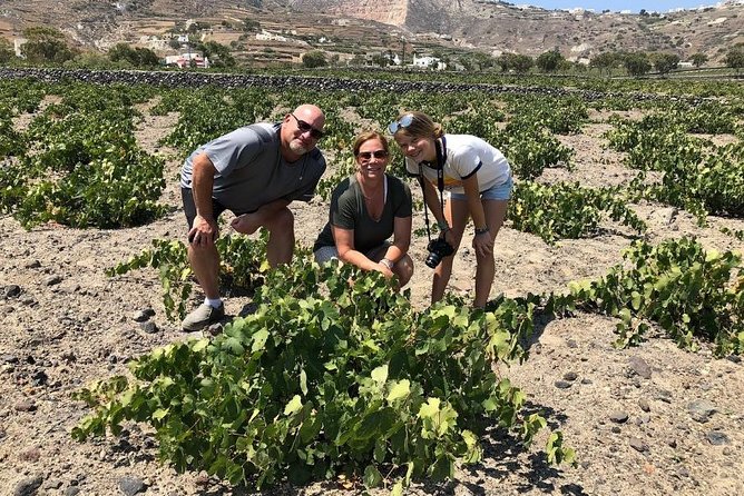 Private Tour: Great Wines and Famous Towns of Santorini - Practical Details and Booking