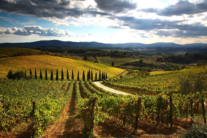 Private Tour: Guided Hike in Tuscany with Transport from Siena - Visiting San Gimignano’s Medieval Skyline and Streets