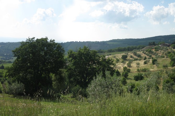 Private Tour: Guided Hike in Tuscany with Transport from Siena - Flexibility and Free Time in San Gimignano