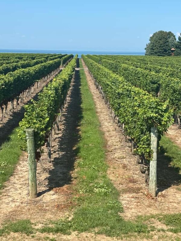 Private Tour: Hidden Gems Wine Tour of Niagara-on-the-Lake - Explore the Unique Location of Konzelmann Estate Winery on Lake Ontario