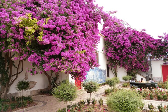 Private Tour: Highlights of Historical Lisbon in 4H with Transfer - Belém District and Iconic Landmarks