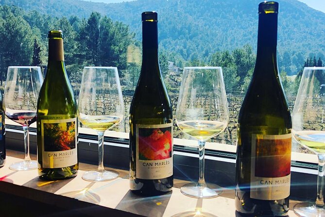 Private Tour - Hike and wine tasting at the Penedés - Lunch at a Traditional Farmhouse with Local Dishes