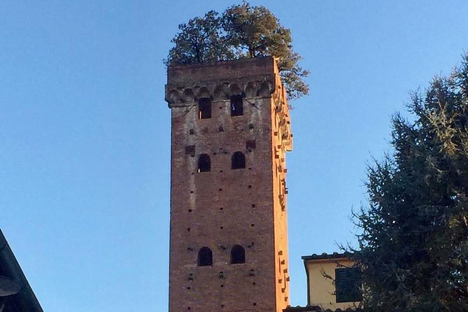 Private Tour: Historic Lucca by bike - Discovering Piazza San Michele and the House of Puccini
