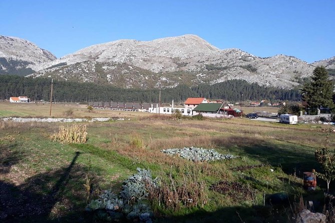 Private tour: Homemade food and wine tasting at my family home - Explore Montenegrin Traditions on a Private Food and Wine Tasting Tour