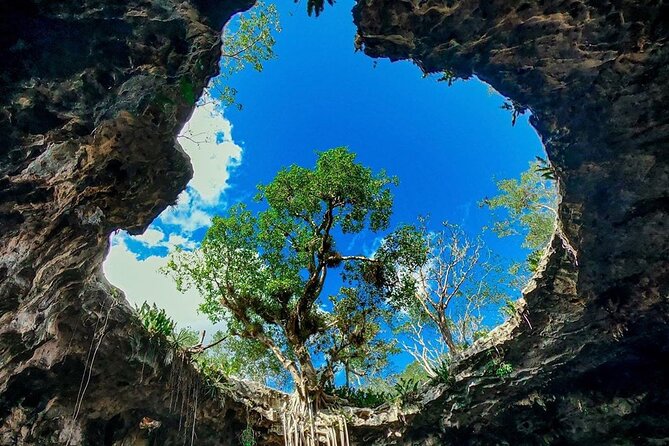 Private Tour: Homun Cenotes Day Trip - Inclusions and Practical Details of the Tour
