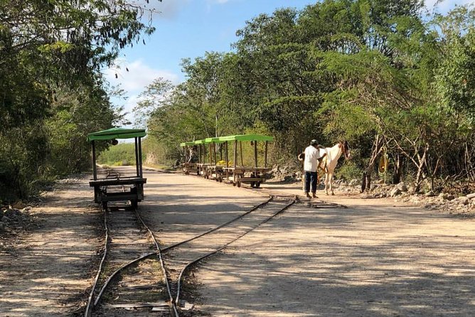 Private Tour: Homun Cenotes Day Trip - Why This Tour Stands Out from Others
