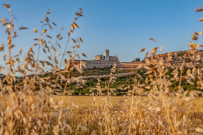 Private Tour in Basilica of St. Francis of Assisi - Final Thoughts on the Basilica of St. Francis Private Tour