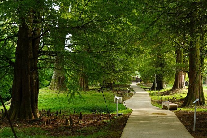 Private Tour in Batumi and Dendrological Park from Kutaisi - Optional Add-ons and Entrance Fees