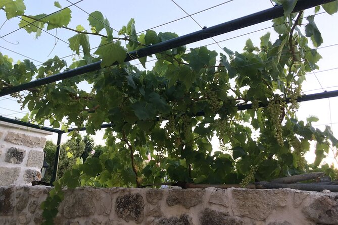 Private Tour in Chania Monasteries - Discovering the Byzantine Church in Alikianos