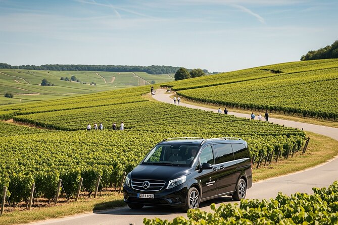 Private Tour in Dijon with your Official Tour Guide - Wine Tasting in Beaune’s Vineyards