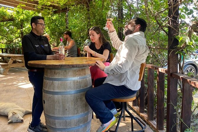 Private Tour in Guadalupe Valley, Vine Yards & Wine Route ENS MX - Guadalupe Valley: The Heart of Mexico’s Wine Country