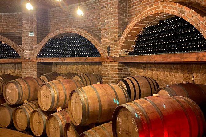 Private Tour in Guadalupe Valley, Vine Yards & Wine Route ENS MX - Comfortable Private Transportation and Flexible Schedule