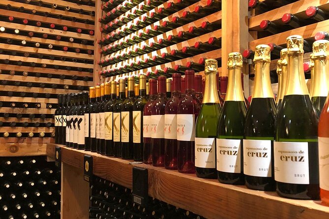 Private Tour in Guadalupe Valley, Vine Yards & Wine Route ENS MX - The Value of a Private, Custom-Tailored Experience