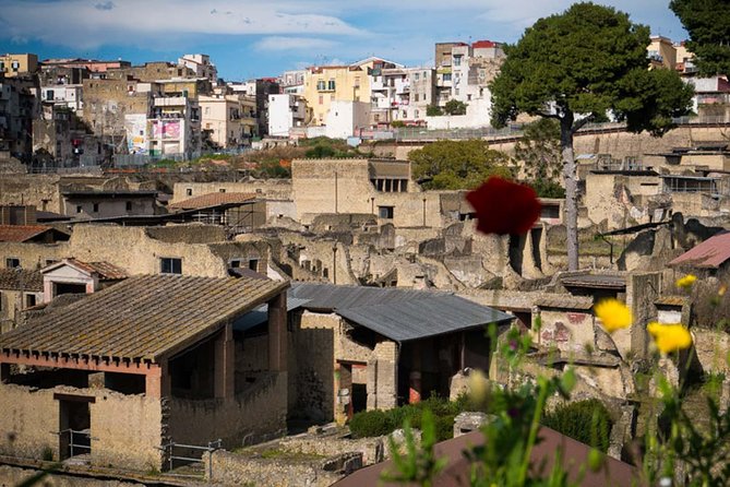 Private Tour in Herculaneum for Families from Naples - Flexible Cancellation and Practical Tips